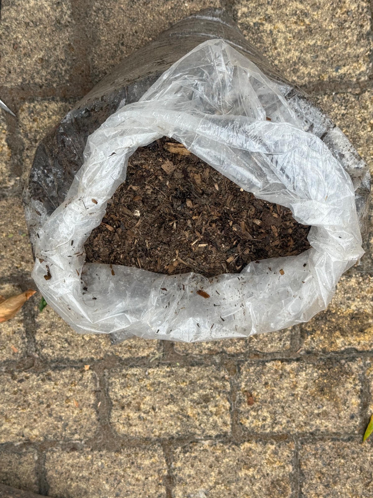 Top Soil and Compost Mix Bagged 20dm