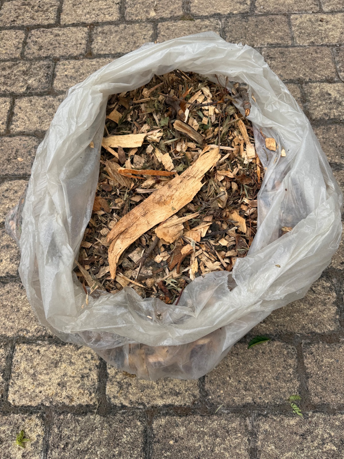 Rough Wood Chip Bagged 30dm