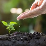 plants by purpose