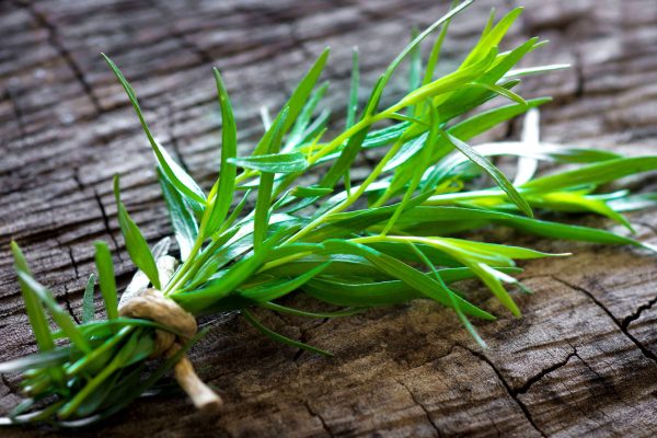 Tarragon French 12cm Pot