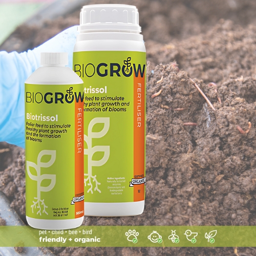 BioGrow Biotrissol 500mg