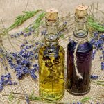 online plant shop