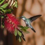 How to Create a Bird-Friendly Garden