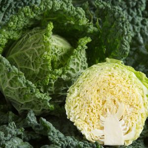 Cabbage Drumhead 6pk