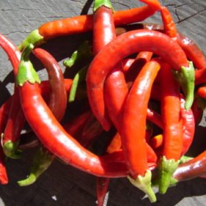 Chilli Cayenne Hybrid Super Flavour 5/10 6pk