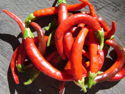 Chilli Cayenne Hybrid Super Flavour 5/10 6pk