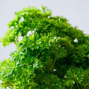 Parsley Curly 6pk