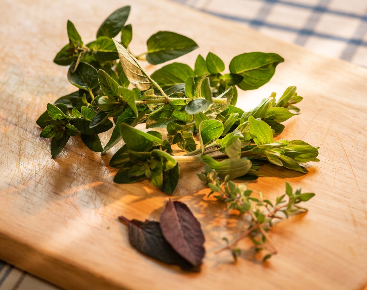 Marjoram 6pk