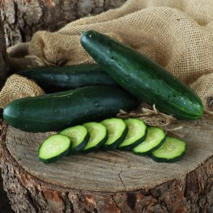 Cucumber Ashley 6pk
