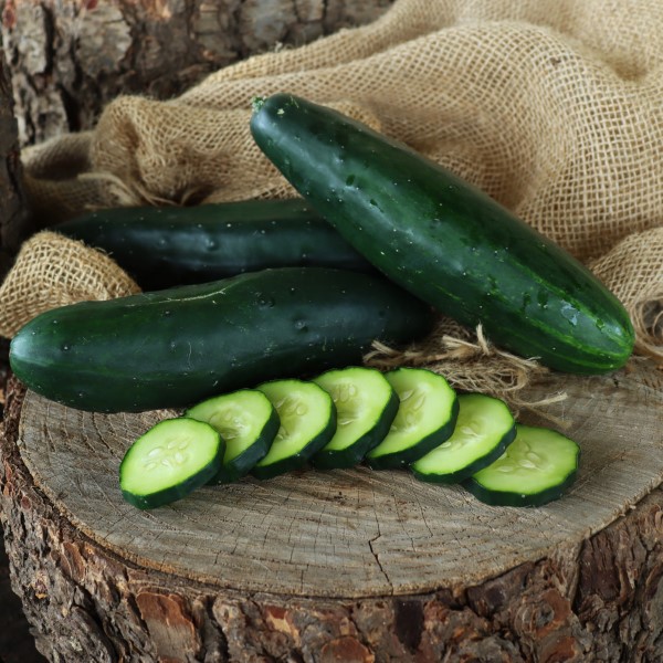 Cucumber Ashley 6pk