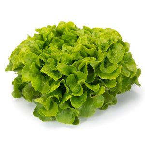 Lettuce Oak Green Kireve 6pk