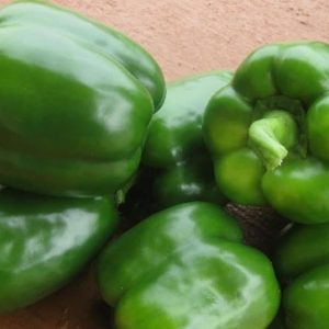 Pepper Sweet Green Hybrid Delisha 6pk