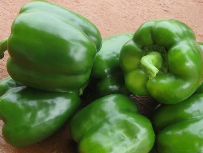 Pepper Sweet Green Hybrid Delisha 6pk