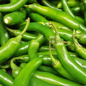 Chilli Serrano Long 8/10 6pk