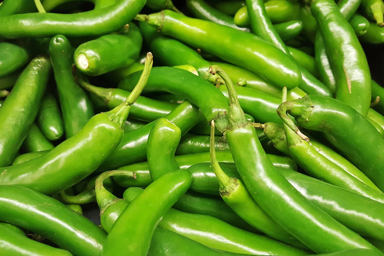 Chilli Serrano Long 8/10 6pk