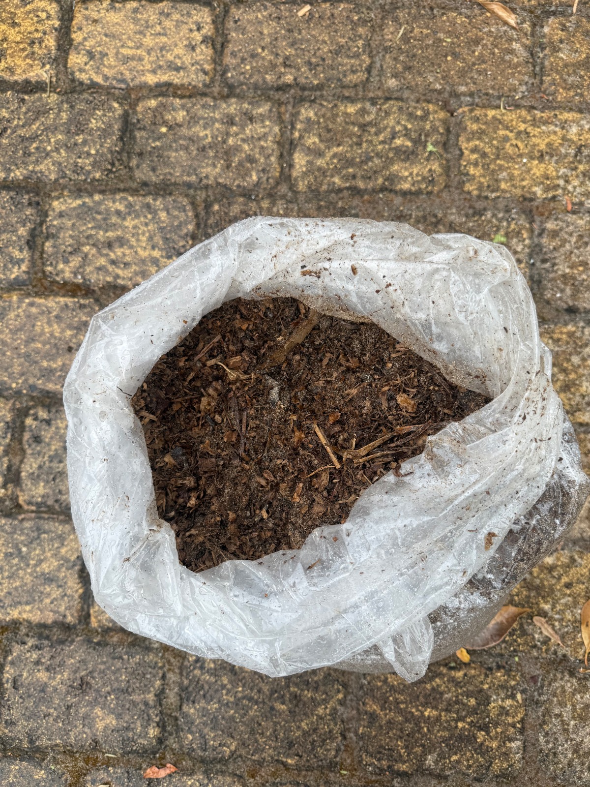 Potting soil bagged 20dm