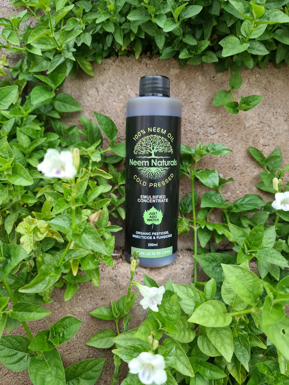 Neem Naturals Emulsified Cold Pressed Neem Oil Concentrate - Makes up to 50L 250ml
