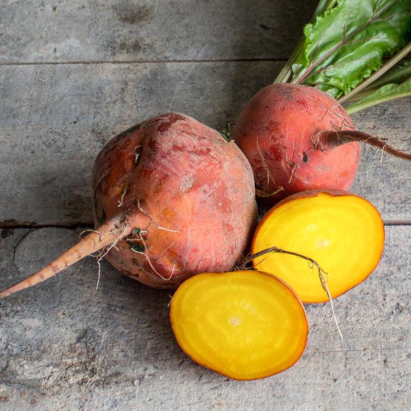 Beetroot Bolder Golden - Beta vulgaris boldor Pre Order