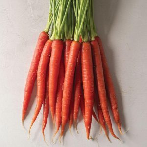 Carrot Rubypak F1 - Daucus carota subsp
